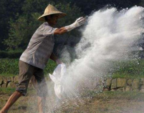 “生石灰”是如何解决土壤酸化、土壤传染病？原理与用量是关键