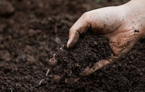 土壤有机质的功能和作用