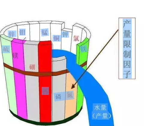 别再只上氮磷钾了，原来土壤最缺的是它→