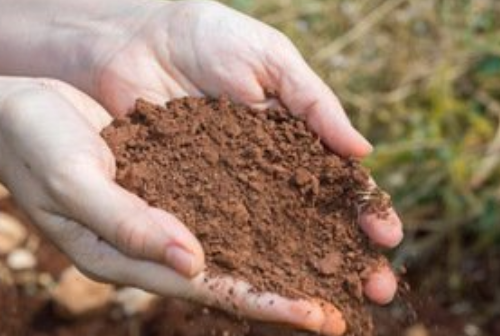 这9大方法是有效的改良土壤方式→