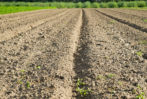 要想农产品高产、好品质，就一定要把土壤调理健康！