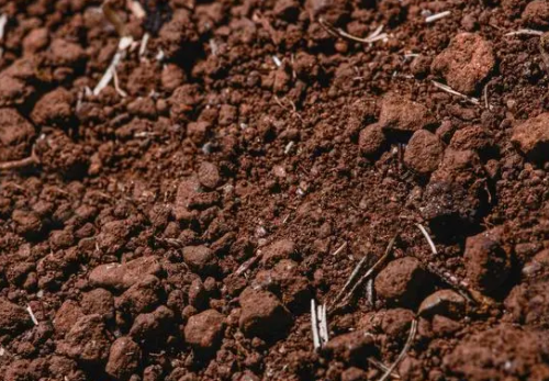 什么是碱性土壤？