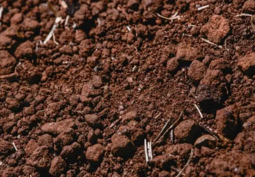 有机肥、生物菌肥、生物有机肥究竟哪里不一样？