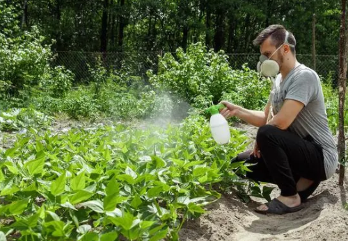 农技知识：从土壤管理到病虫害防治