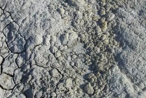 用生活常识讲清楚土壤盐还是碱的问题！