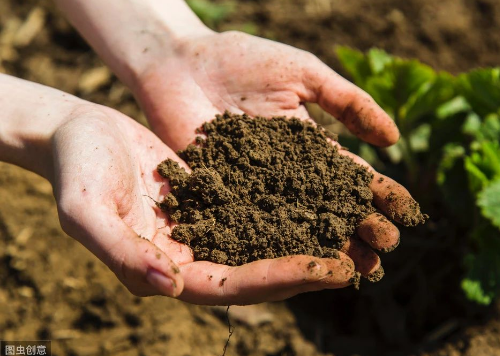 “土壤有机质”知识汇总