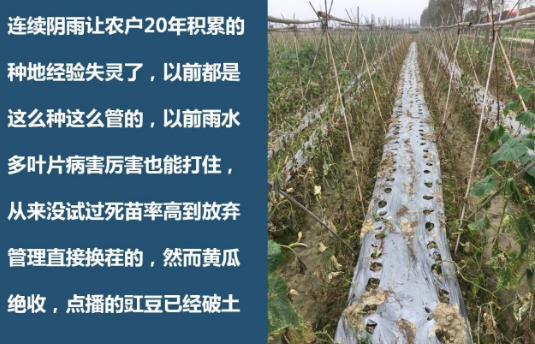 土壤都坏了，再不改，庄稼肯定没救了！