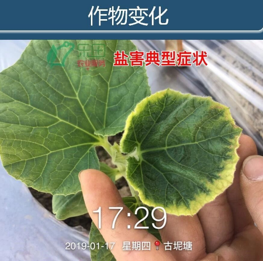 土壤都坏了，再不改，庄稼肯定没救了！