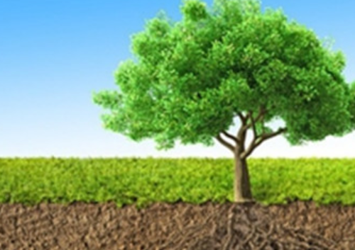 土壤污染的农业来源及修复措施！