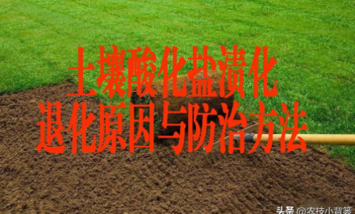 土壤污染的农业来源及修复措施！