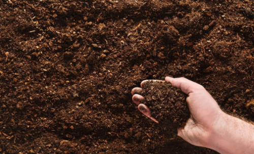 什么方法是有效的改良土壤方式呢？