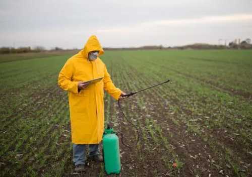 农药正在破害土壤健康？