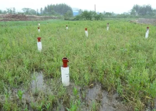 农药正在破害土壤健康？