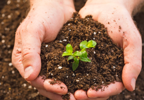 科学施肥不是说不让施化肥，而是主张化肥和有机肥一起施！