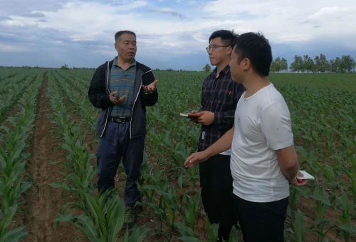 中央一号文件为何要提“严厉打击电捕蚯蚓”？