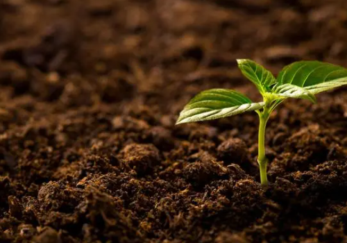 什么样的土壤才算健康？土壤健康如何判断？