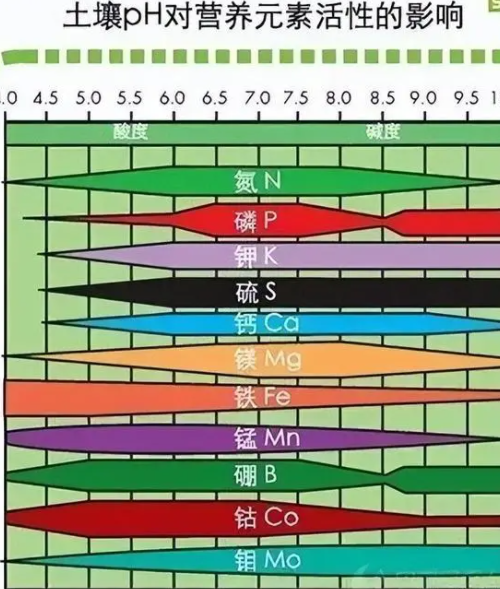 你知道土壤的正确改良方法吗？近年来的土壤问题，一直困扰我们