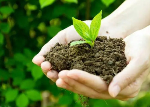 你知道土壤的正确改良方法吗？近年来的土壤问题，一直困扰我们