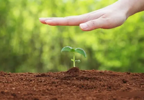 土壤调理剂别乱用，弄懂这5个问题，土壤又有新活力