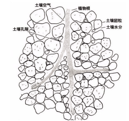 土壤基础知识图文版