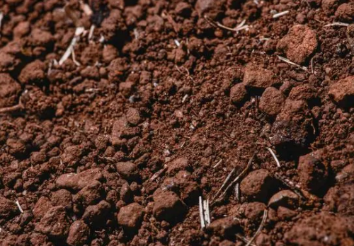 土壤板结的危害和处理办法