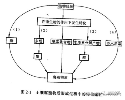 土壤有机质增加与施用有机肥的关系？