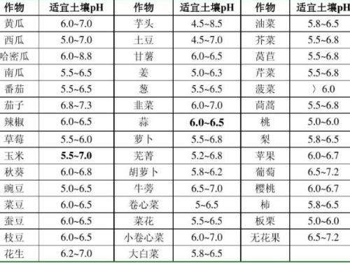 理想的健康的土壤该是什么样子？