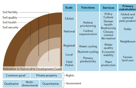 土壤健康的概念和未来展望！