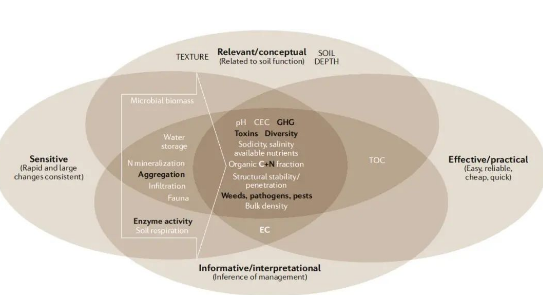 土壤健康的概念和未来展望！
