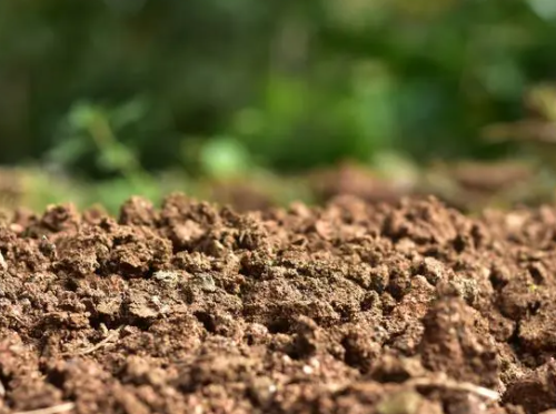 如何有效预防土壤酸化