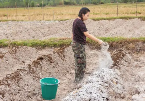 酸性土壤和碱性土壤怎样施肥效果好？