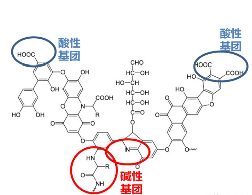腐植酸与土壤的一段对话火了！