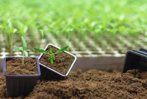 土壤健康的指标有哪些？
