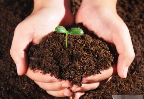施肥，并不是将肥料施入土壤这么简单，需要我们去考虑的因素很多.....