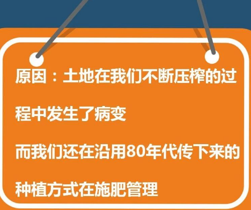 土壤不好，就会出现这样的现象！！！