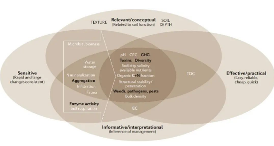 土壤健康来源于土壤质量！