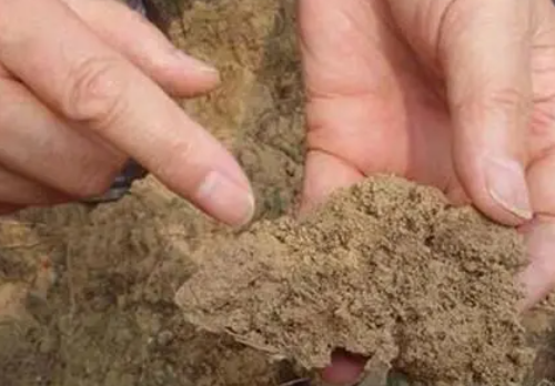 微生物在土壤中究竟做了些什么？