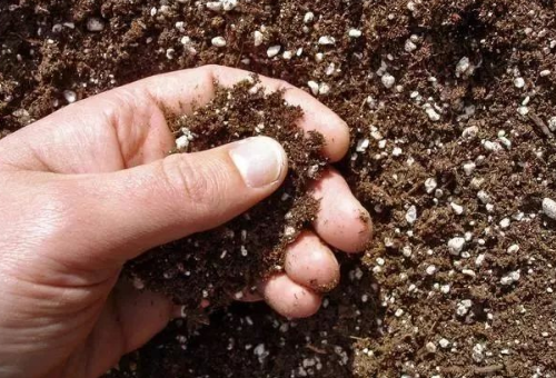 注意：土壤中没有它，化肥用的再多白瞎！