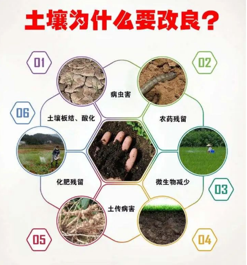 让土壤恢复生命力，这就是我们要走的路！