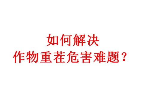 能重茬和不能重茬的作物有哪些？作物重茬烂根死棵现象怎么防治?