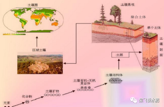 有机肥等不等于土壤有机质呢？
