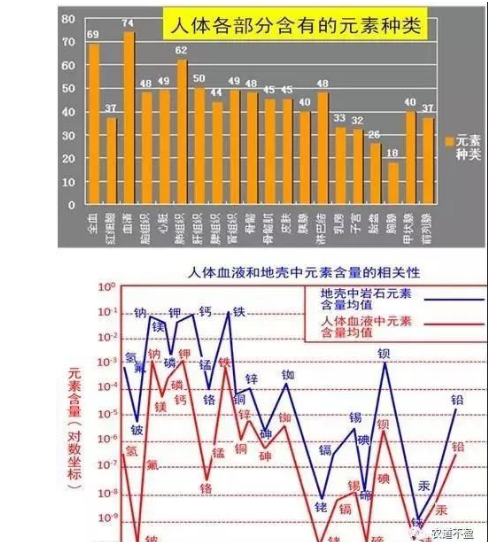 土壤—植物营养—人体健康的关系