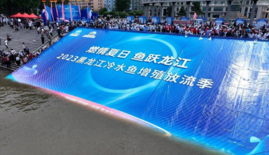 燃情夏日 鱼跃龙江—2023黑龙江冷水鱼增殖放流季 