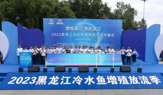 燃情夏日 鱼跃龙江—2023黑龙江冷水鱼增殖放流季 