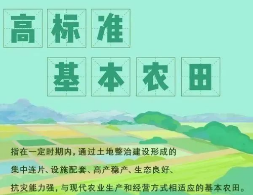 耕地、基本农田、永久基本农田、高标准基本农田，这些名词你清楚吗？