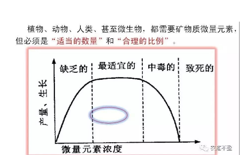 土壤—植物营养—人体健康的关系