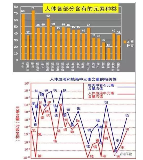 土壤—植物营养—人体健康的关系