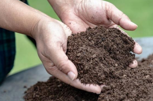 从根开始：揭秘土壤改良的正确姿势，打造肥沃乐土！