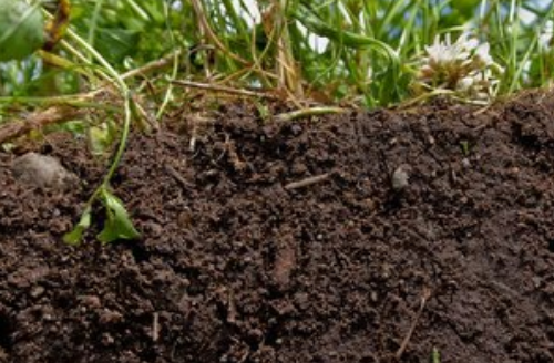 常见的三种土壤修复技术！