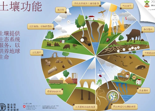 土壤是怎么形成？有哪些类型？有生老病死吗？